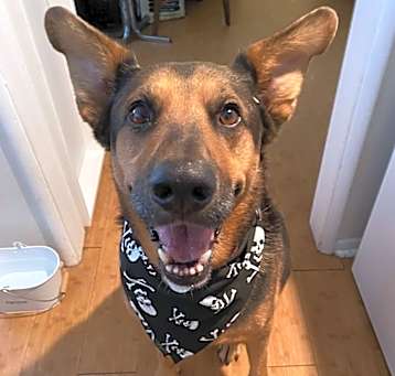 Photo of Thor