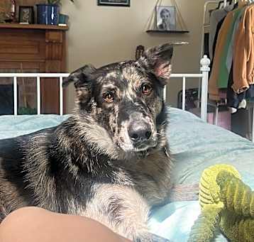 Photo of Motley