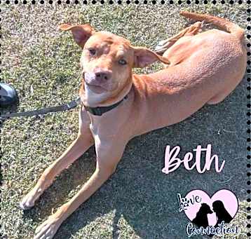 Photo of Beth