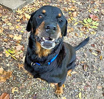 Photo of Zeus