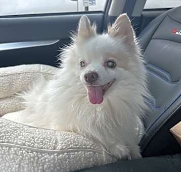 Photo of Miss Leila