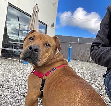 Photo of Benny