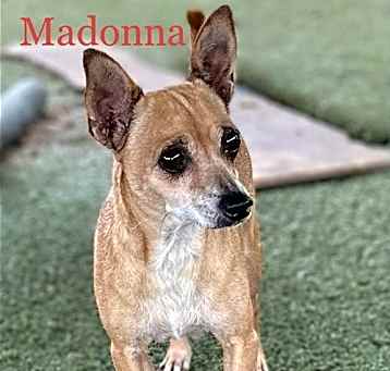 Photo of Madonna