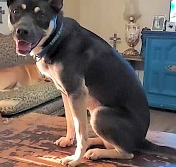 Photo of Lila