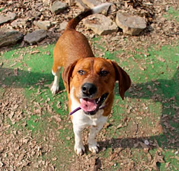 Photo of Duke of Earl