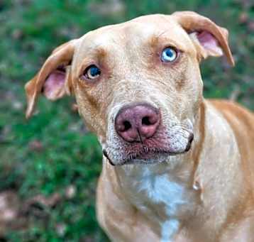 Photo of Hazel