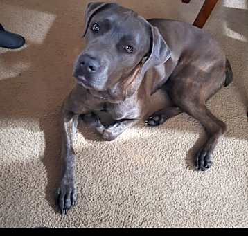 Photo of Zeus