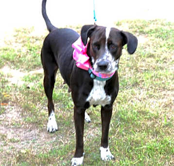 Photo of Plexie