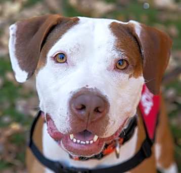 Photo of Gus