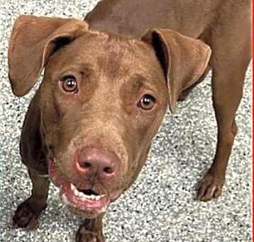 Photo of Flora - ROCKFORD