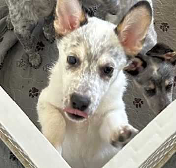 Photo of Yuki
