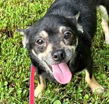 Photo of Lucky
