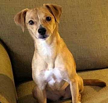 Photo of Willow