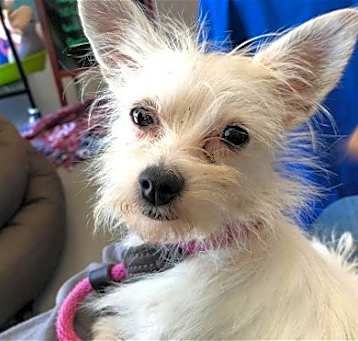 Photo of Chloe