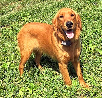 Photo of Harper
