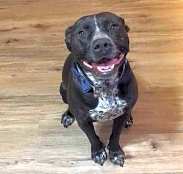 Photo of Baby Girl