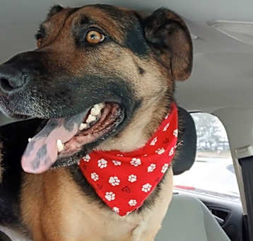 Photo of Dex
