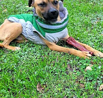 Photo of Finley