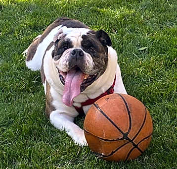 Photo of Murphy