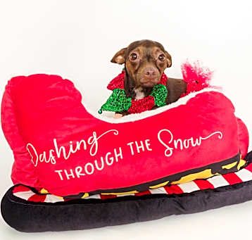 Photo of Sprout