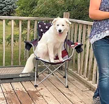 Photo of Buddy