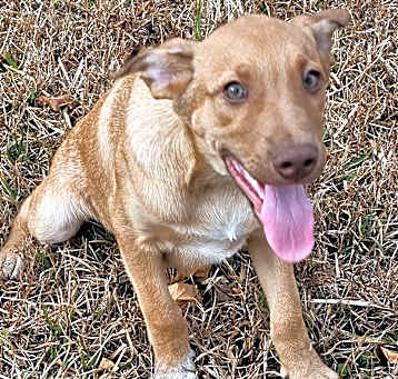 Photo of Trace