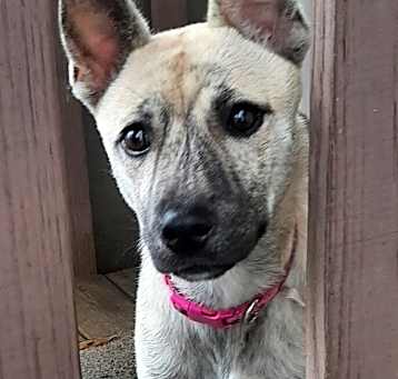 Photo of Holly
