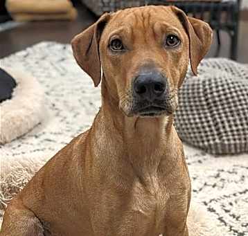 Photo of Reggie