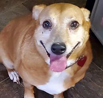 Photo of Murphy