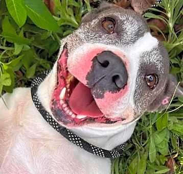 Photo of Stormy