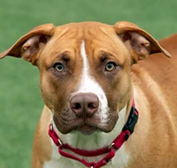 Photo of Winston
