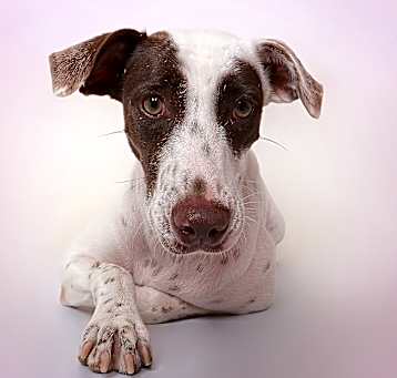 Photo of Molly