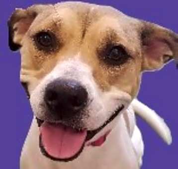 Photo of Leia
