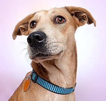 Photo of Sandy