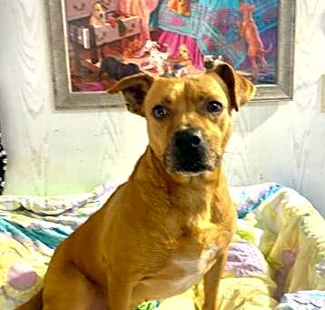 Photo of Vivi