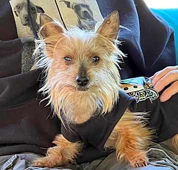 Photo of Flash