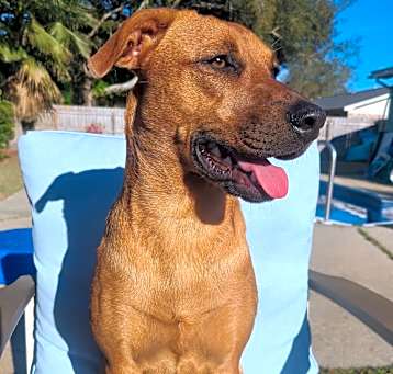 Photo of Bonnie