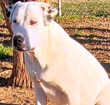 Photo of Ghost