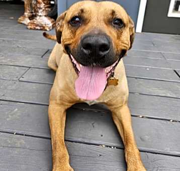 Photo of Ruby