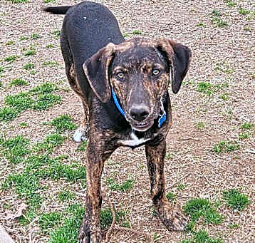 Photo of Bochy