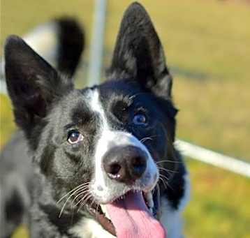 Photo of Max