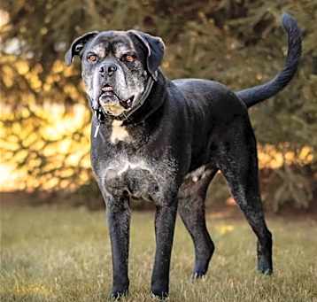 Photo of Zeus