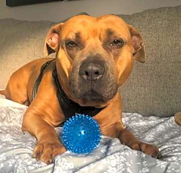 Photo of Emmy