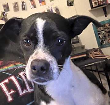 Photo of Dottie