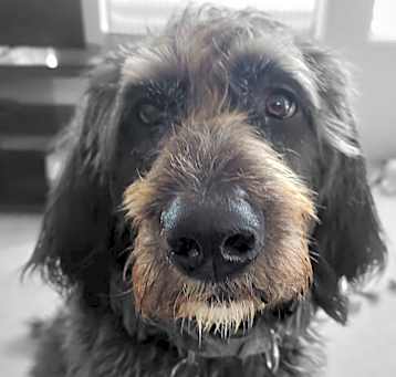 Photo of Murphy