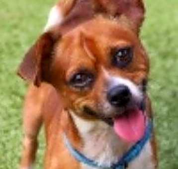 Photo of Wesley