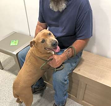 Photo of Cash