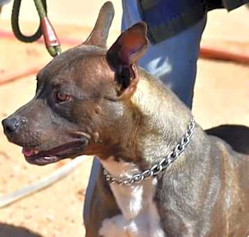 Photo of Tyche