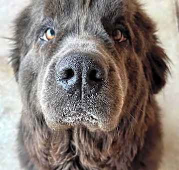 Photo of Stormy