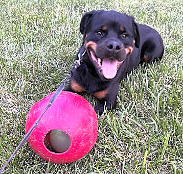 Photo of SNICKERS 2